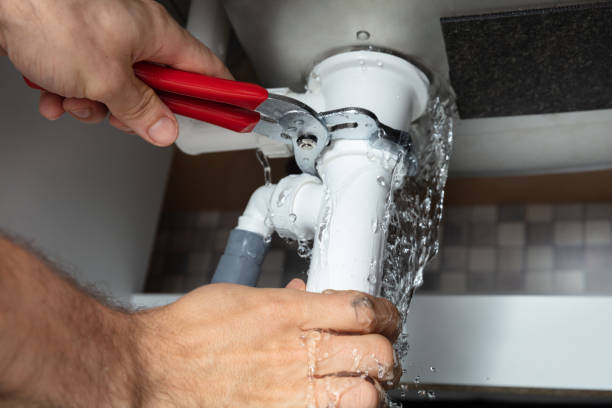 Best Sewage cleanup and water damage restoration  in Front Royal, VA