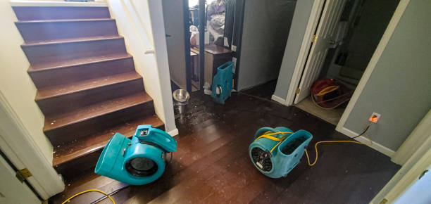 Best Carpet water damage restoration  in Front Royal, VA