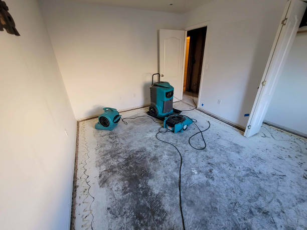 Best Carpet water damage restoration  in Front Royal, VA
